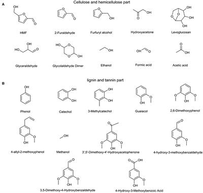 Accelerated Aging Process of Bio-Oil Model Compounds: A Mechanism Study